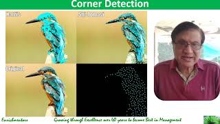 Famous 12 Data Collection & Preprocessing IV - Master in Artificial Intelligence (AI) Net Worth