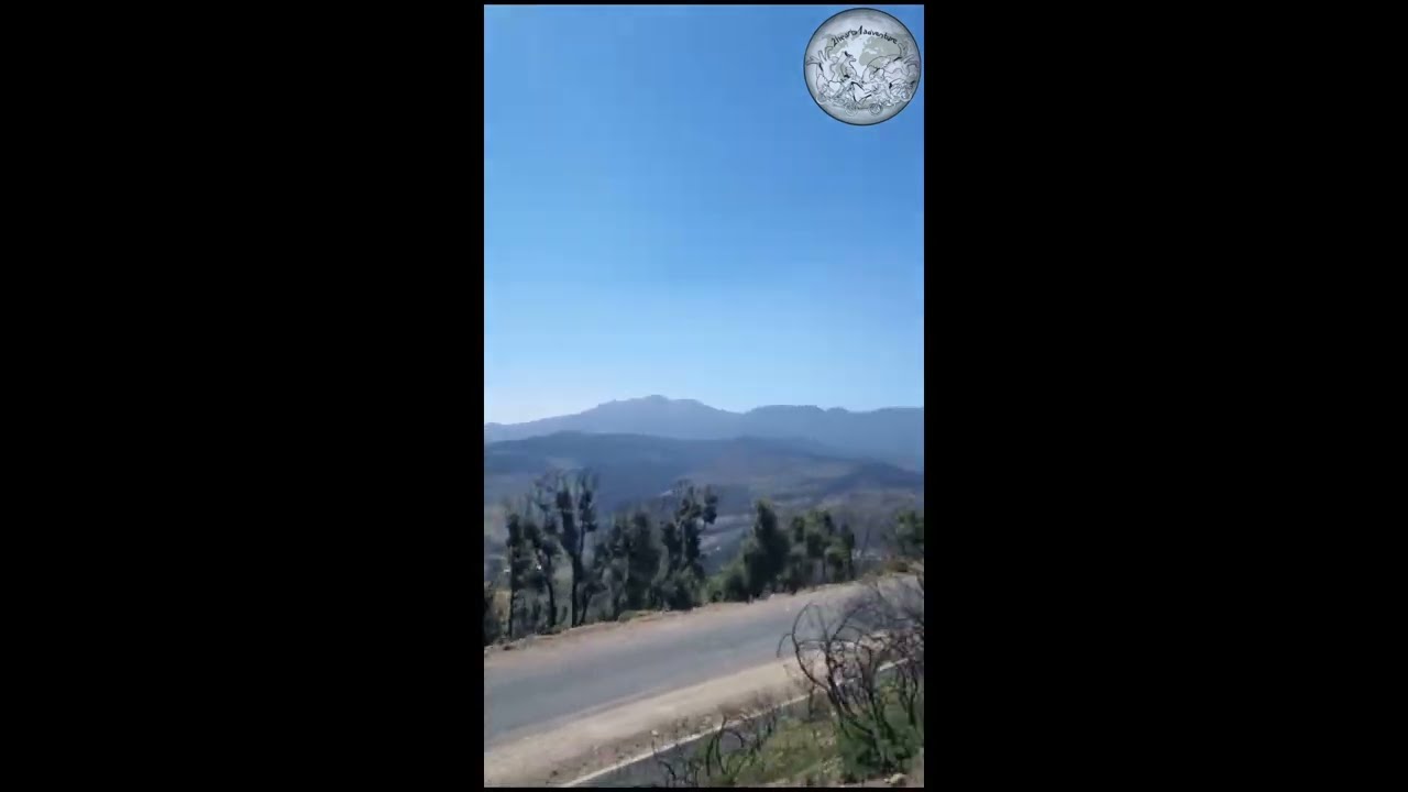 Safari on the Defender roof