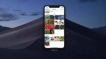 Fruit Classification App Demo