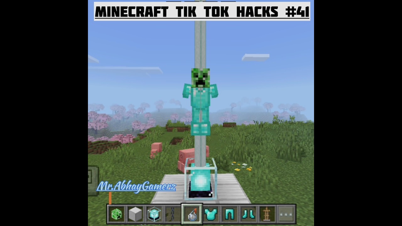 MINECRAFT TIK TOK HACKS #41 