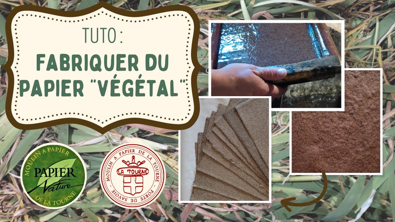 Fabriquer du Papier "végétal" artisanal à la maison Tuto DIY en 10 — free download