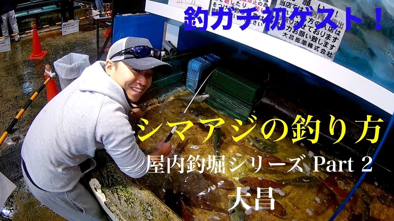高級魚 シマアジの釣り方 探偵ナイトスクープに出てた人をゲストに迎えて 屋内釣堀シリーズpart 2 大昌 Youtube