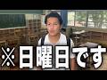 学校に行ったら誰もいなかった高校生のリアルな1日。