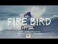 PYZEL SURFBOARDS 日本限定モデル FIREBIRDをテストライド！ - YouTube