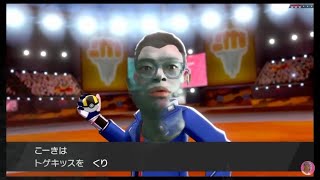 緊急独占世界初挑戦ランクマッチ13、4勝するまでやめません〜新チームで挑む感動ドキュメンタリー。そこのポケモントレーナーさんよぉ。偉大な記録の目撃者にならないか?〜 ※一勝の感じ方には個人差があります
