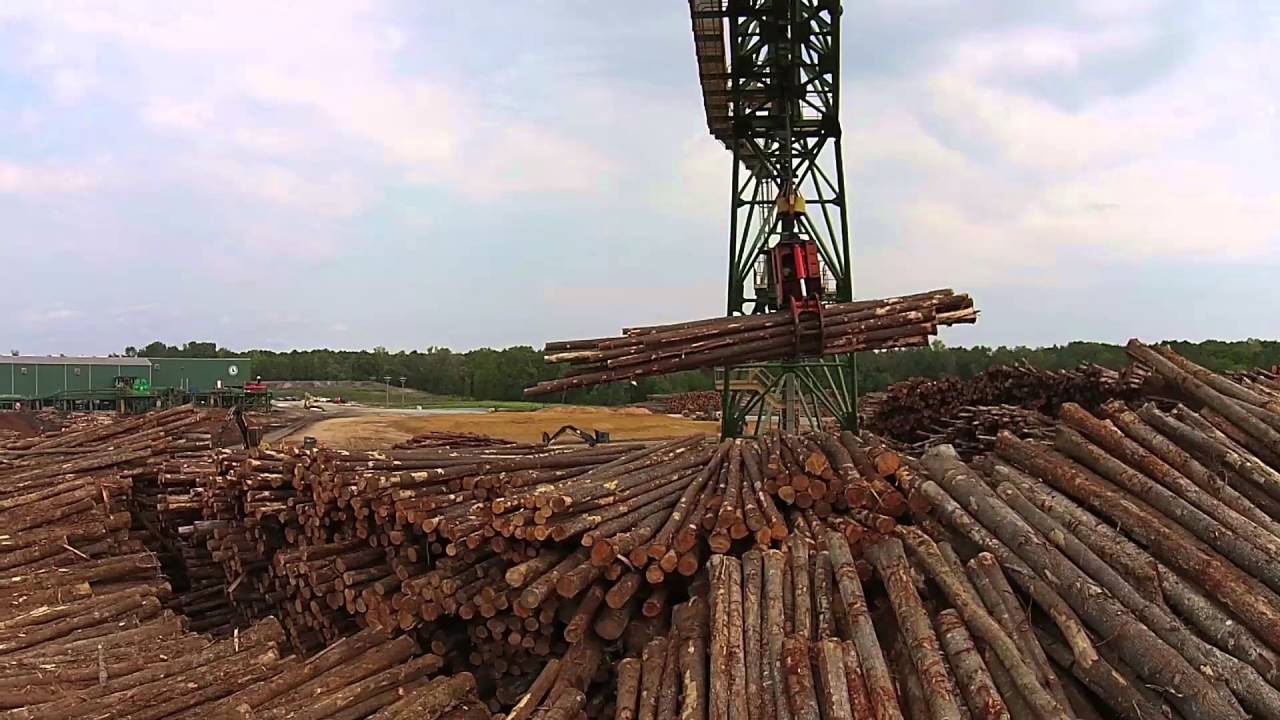 Build Your Legacy Battle Lumber Co. YouTube