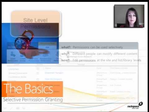SharePoint Permissions: Selective Permission Granting