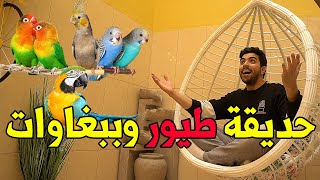 سويت حديقة طيور وببغاوات مصغرة | نتيجة خراااافية 😍 !!