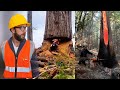 Smart amazing workers 💯✅ #adamrose #viralvideo 