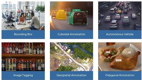 Data Annotation Service for Machine Learning and Ai Model Developments.