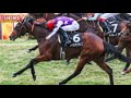 20251124 競馬ﾚｰｽﾄﾋﾟｯｸ　14【ハナ差の２着同着!】'25五色沼特別 T1800 10下 ノーランサンライズ