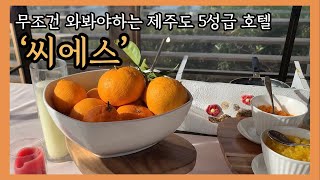 조식으로 전복죽+성게미역국 나오는 제주도 5성급 호텔! 여기 제발 가주세요... 꼭이요... ‘씨에스호텔’ | 필드민