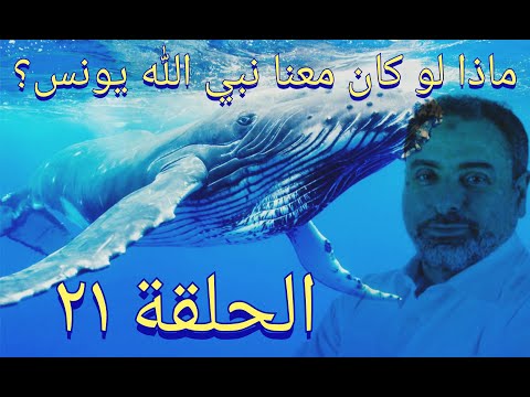 فيديو ٢١ ماذا لو كان معنا يونس ﷺ تدبر آيات ٧٠ ٧٤ من سورة يونس