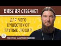 ДЛЯ ЧЕГО СУЩЕСТВУЮТ ГЛУПЫЕ ЛЮДИ ?  Иеромонах Анастасий (Байков)