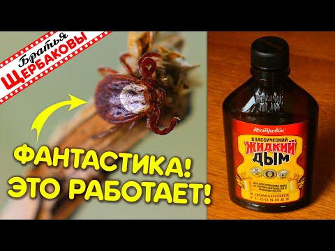 ЖИДКИЙ ДЫМ ПРОТИВ КЛЕЩЕЙ! Фантастика – это работает!