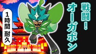 オーガポンBGM（1時間耐久）【ポケモンSV（碧の仮面）BGM】｜ゼロの秘宝 BGM