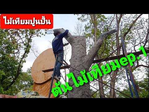 #ตอไม้เทียมปูนปั้น #ต้ นไม้เทียมต้นไม้จำลองจากปูนซีเมนต์ ขึ้นโครงพร้อมฉาบหน้าแรก วัดคลองปลัดเปรียง?