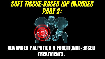 Soft Tissue Based Hip Injuries Part 2: Adductor Magnus Palpation & Functional-Based Treatment.