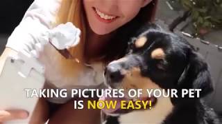 How To Take The Perfect Pet Selfie