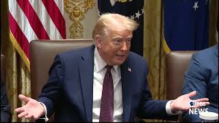 WATCH: Trump goes after Democratic lawmakers, says Schumer 'great Palestinian senator'