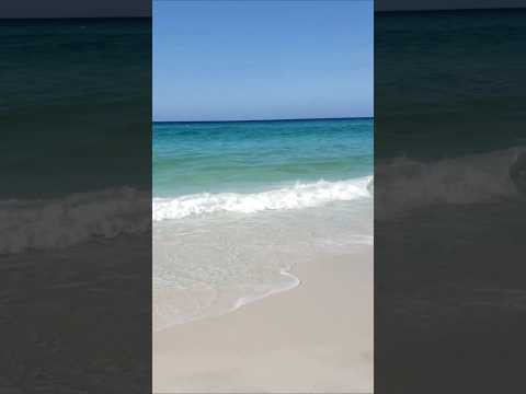 Relaxing Beach waves ⛱ #beach #panamacitybeachflorida