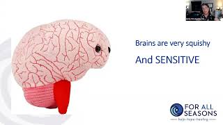 March Children's Mental Health Webinar| The Neurobiology of Trauma in Children