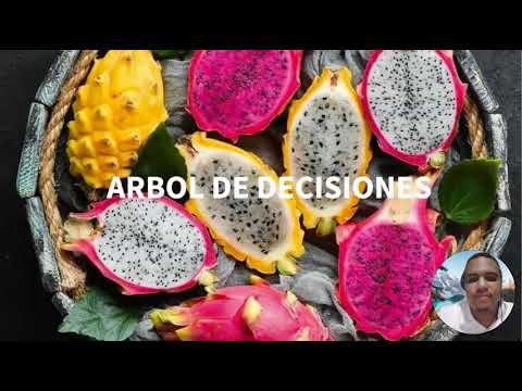 Arbol de Decisiones -Ventajas- Desventajas - Ejemplos