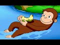 George salva i pulcini! 🐵 Curioso Come George 🐵 Cartoni per Bambini