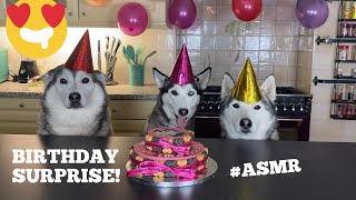 ITS LOLAS 2ND BIRTHDAY TODAY!! SO WE GOT CAKE!! [ASMR]