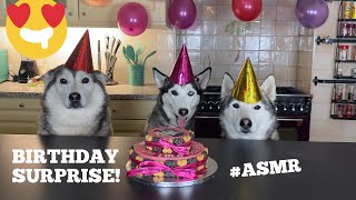 Its Lolas 2Nd Birthday Today So We Got Cake Asmr