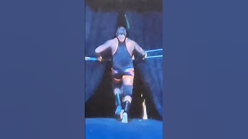 Owen Hart Falls down #owenhart#wwe#royalrumble#fall