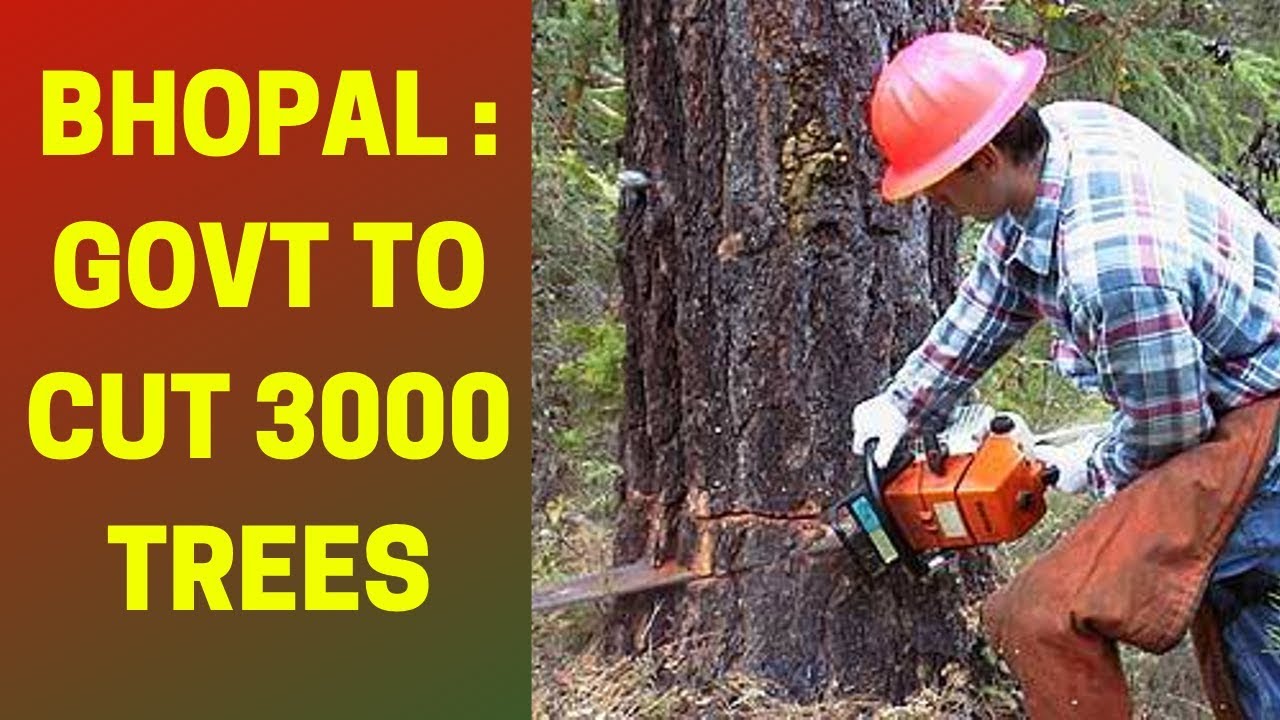 Madhya Pradesh: Government to cut 3000 trees under smart city project |NewsX