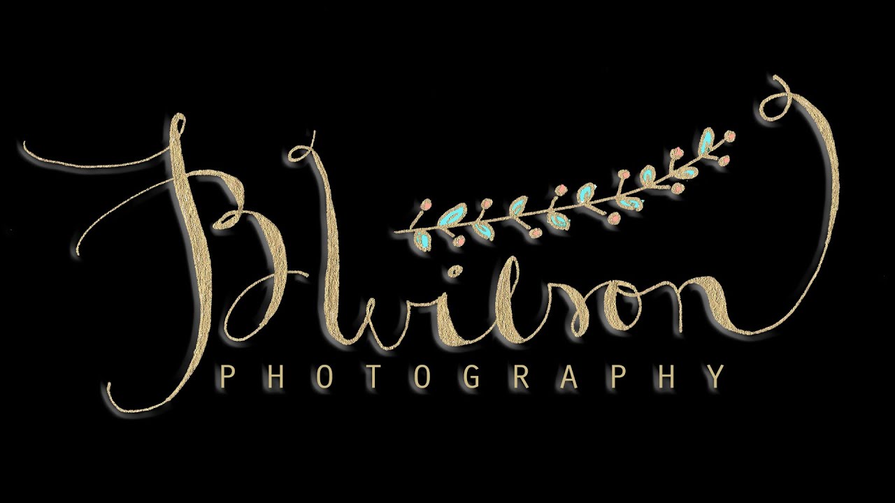 Wedding Video by BWilson Photography