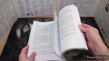 Basic Fantasy Role-playing Game - Stoneaxe Review