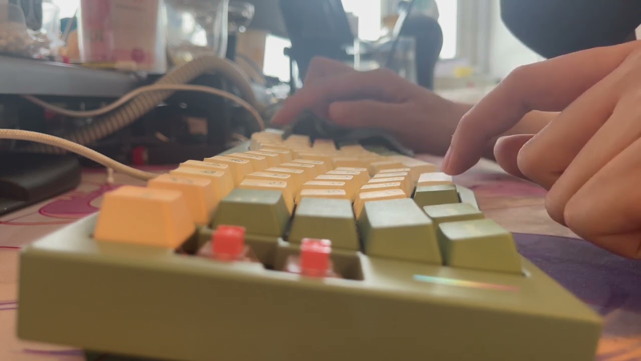 MOMOKA Shark Tactile Switch | MOMOKA Store | Keyboards and Gadgets