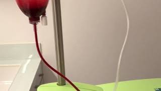 Lossigeno - Ozonoterapia Sistemica Per Migliorare Le Difese Immunitarie