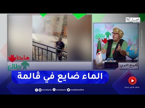 طالع هابط الشيخ النوي شاهد الماء ضايع خسارة في حجر المنقوب 