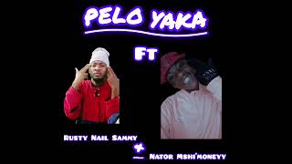 Pelo Yaka Ft Nator Mshimoneyy & Rusty Nail Sammy