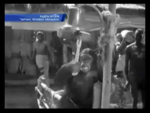 Video: Šimpanza Iz Filma "Tarzan" Iz 1930-ih Mrtva U 80-oj