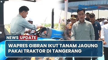 Wapres Gibran Ikut Tanam Jagung Pakai Traktor di Tangerang, Dukung Program Ketahanan Pangan