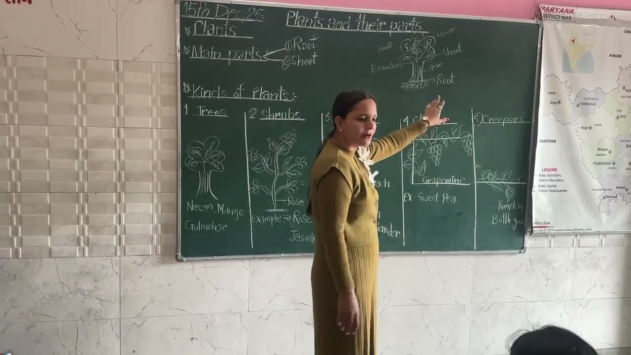 Plants and their parts 🌳