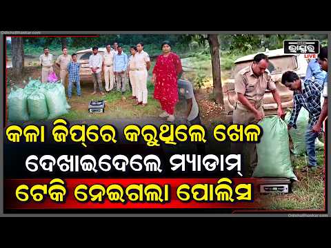 ବାହୁଡ଼ାରେ ଧଳା ଜିପରେ ପାଲ ଟାଣି କରୁଥିଲେ ଖେଳ, ମାଡି ବସିଲା ପୋଲିସ, ଜିପରୁ ବାହାରିଲା ପୁଳାପୁଳା