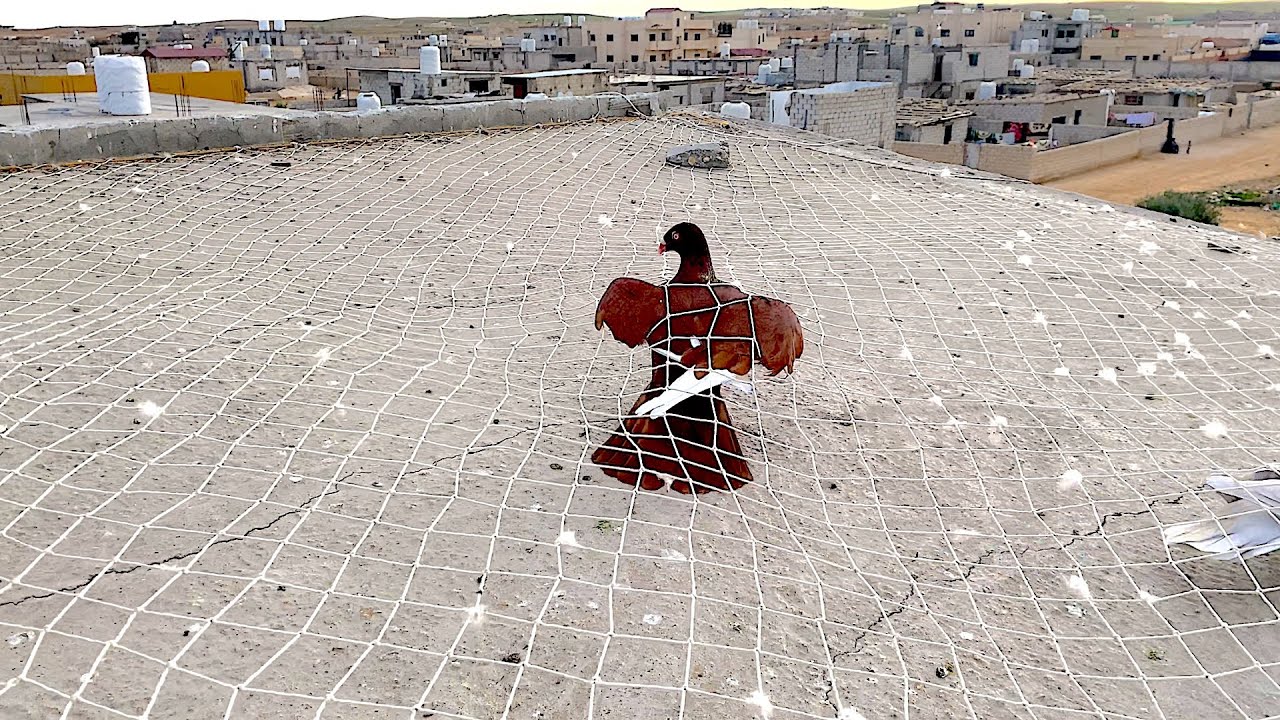 صيد صيد مسود احمر سلافر نخب الحلقة مسجله قبل يومين