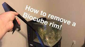 How To Take The Rim Off A Biocube #Rimlesstank