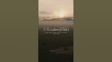 وخلقناكم ازواجا وجعلنا نومكم سباتا #القرآن_الكريم #سورة