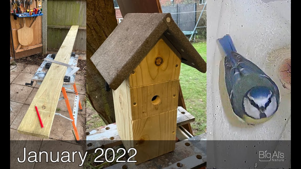 DIY BLUE TIT NEST BOX | Building a simple bird box with a 'Green Feathers' webcam installed