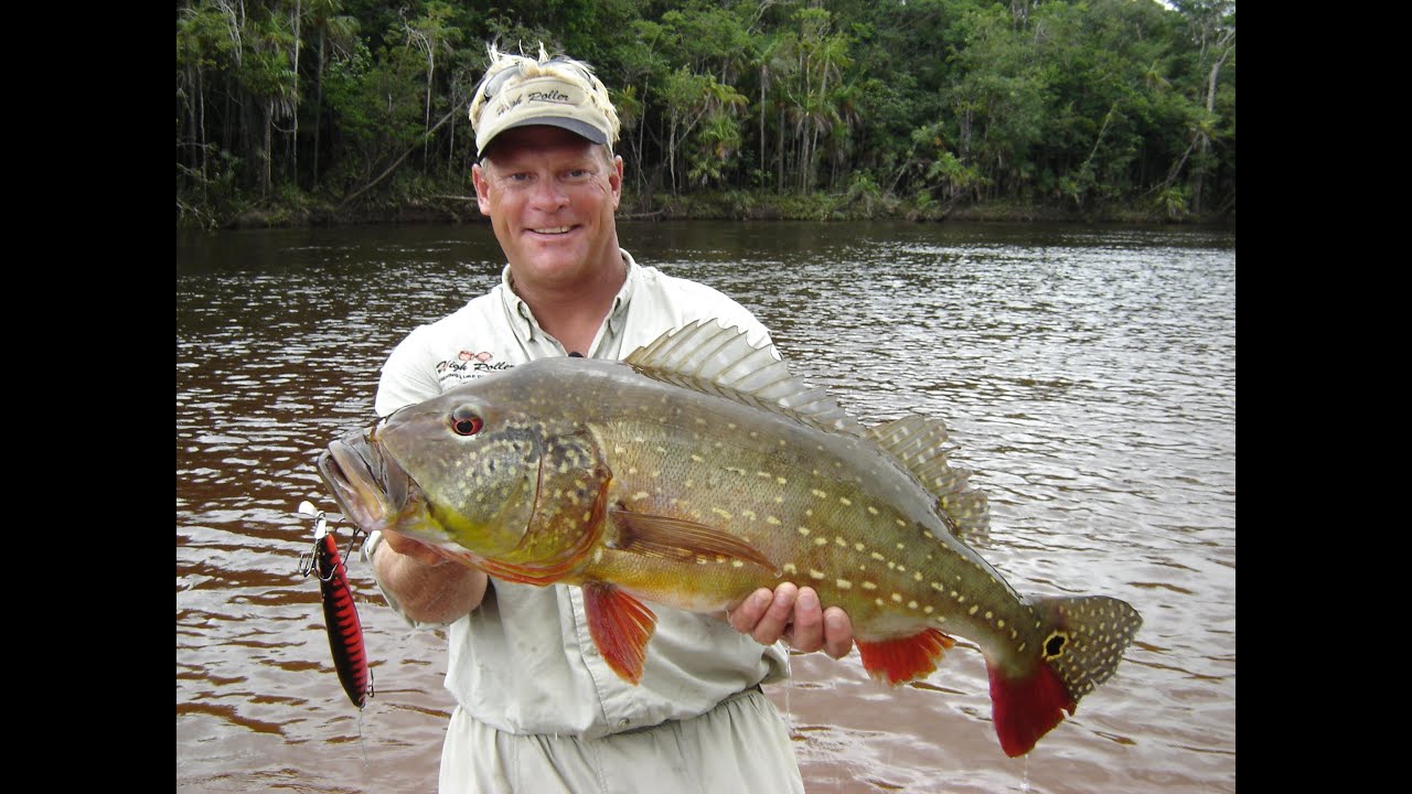 Peacock Bass Fishing and Piranha in the  Rio Negro River 