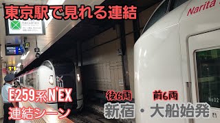 《JR東日本》東京駅　成田エクスプレス連結シーン