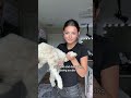 SHE HAS NO EYEBALLS.. Hype her up! #Jesuslovesyou #trending #viral #dog #fyp