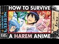 How to survive a harem anime  public service anime